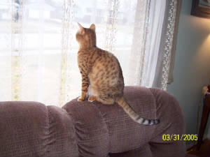 000_2681.jpg
